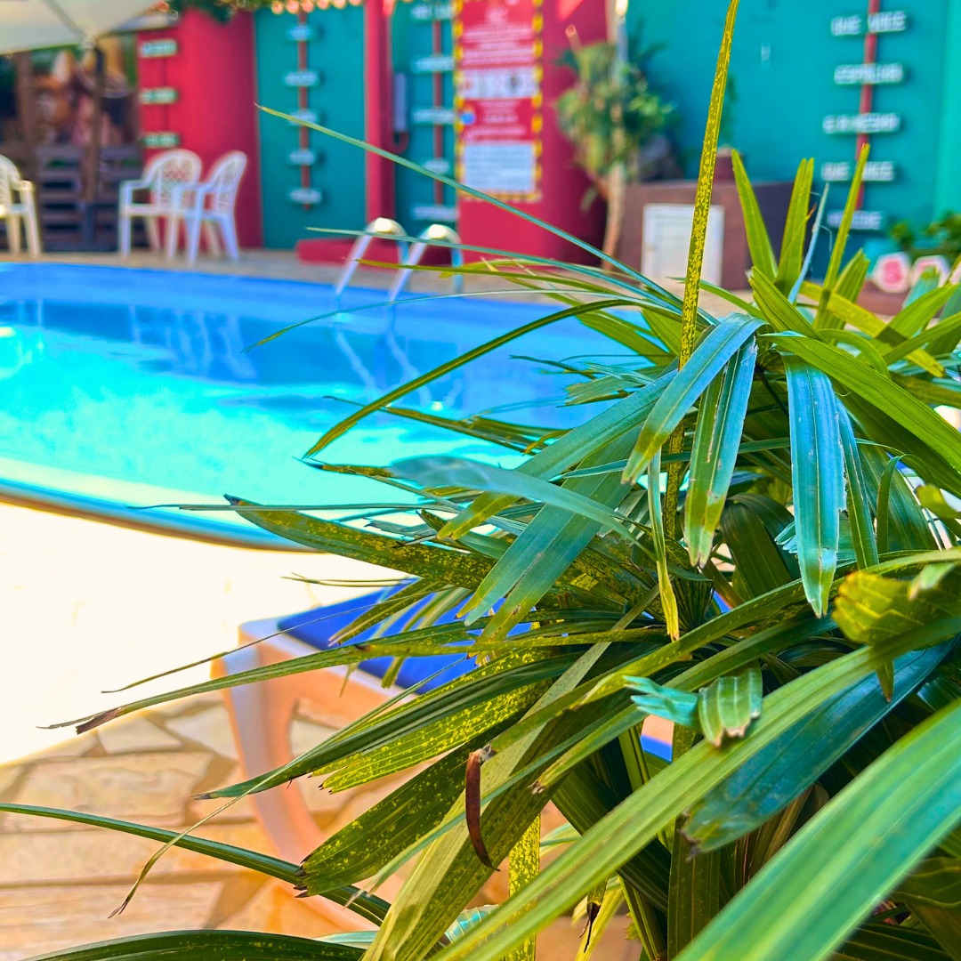 Jardim Tropical